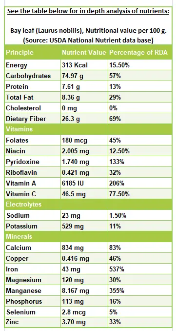 Calorie content Bay leaf. Chemical composition and nutritional value.