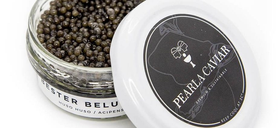 Calorie content Beluga caviar is granular, salted. Chemical composition and nutritional value.