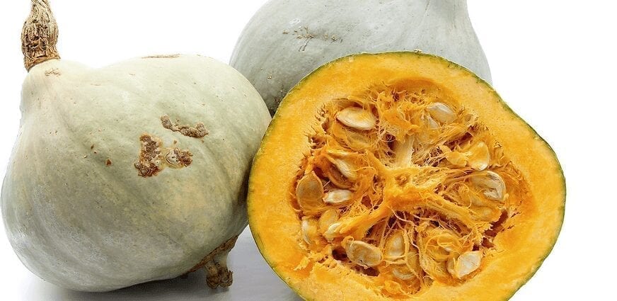 Calorie content Blue pumpkin (hubbard), baked without salt. Chemical composition and nutritional value.