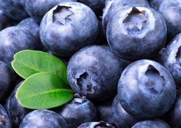 Calorie content Blueberry, raw. Chemical composition and nutritional value.