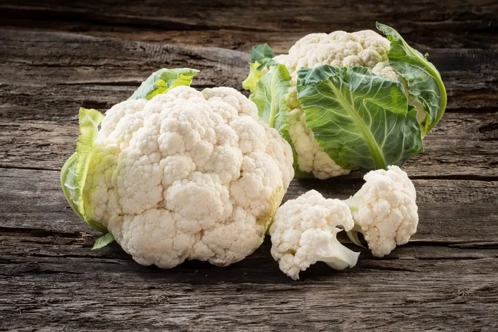 Calorie content Boiled cauliflower 1-210. Chemical composition and nutritional value.