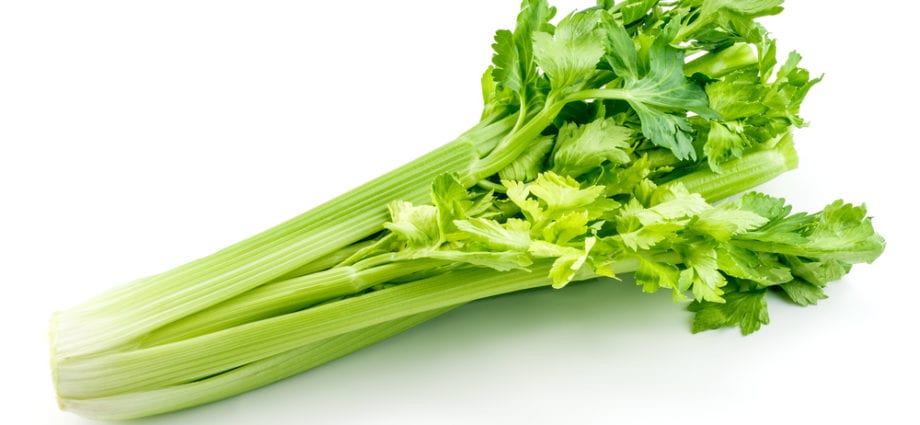 Calorie content Boiled celery, no salt. Chemical composition and nutritional value.