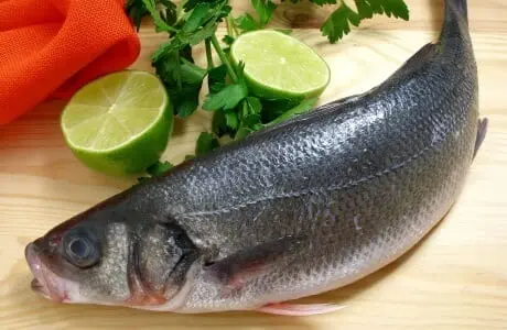 Calorie content Boiled sea bass (sea bass), 1-338 each. Chemical composition and nutritional value.