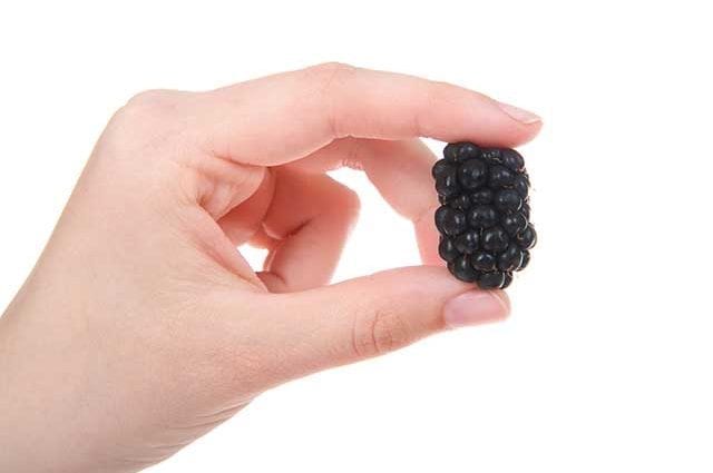 Nilalaman ng calorie Boysenberry, naka-kahong sa puspos na syrup ng asukal. Komposisyon ng kemikal at halaga ng nutrisyon.