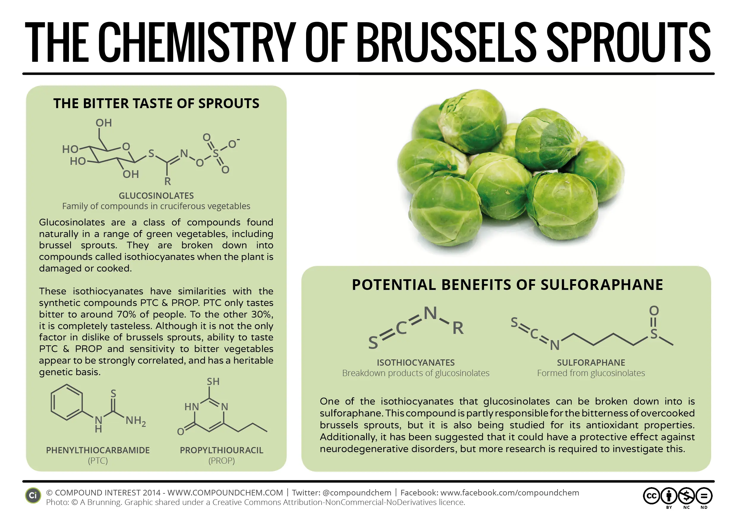 Calorie content Brussels sprouts. Chemical composition and nutritional value.