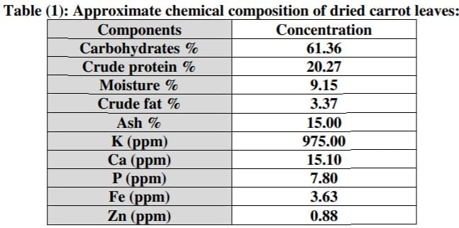 Calorie content Carrots are young. Chemical composition and nutritional value.