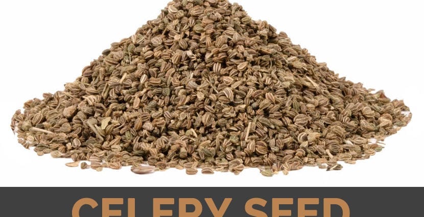 Calorie content Celery, seed. Chemical composition and nutritional value.