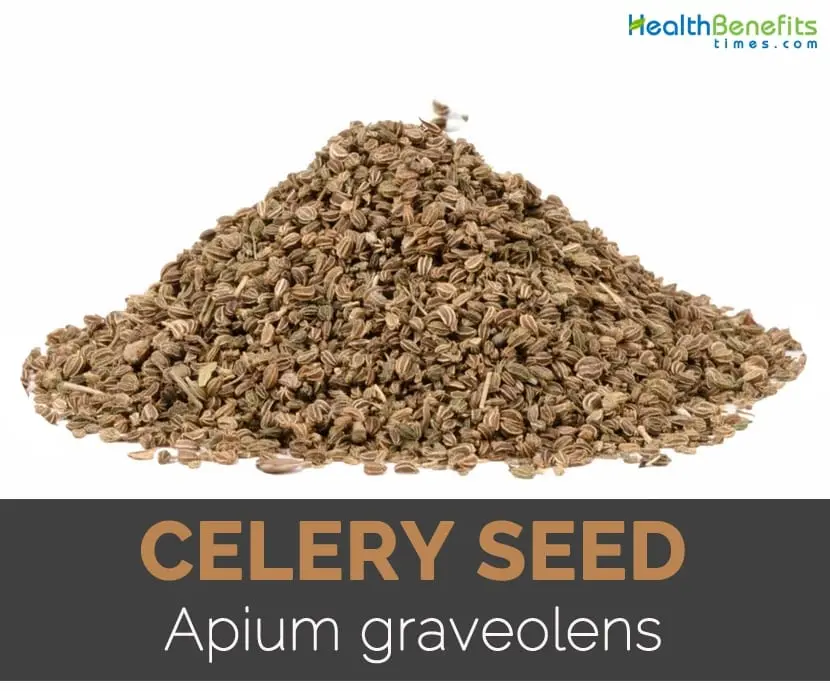 Calorie content Celery, seed. Chemical composition and nutritional value.