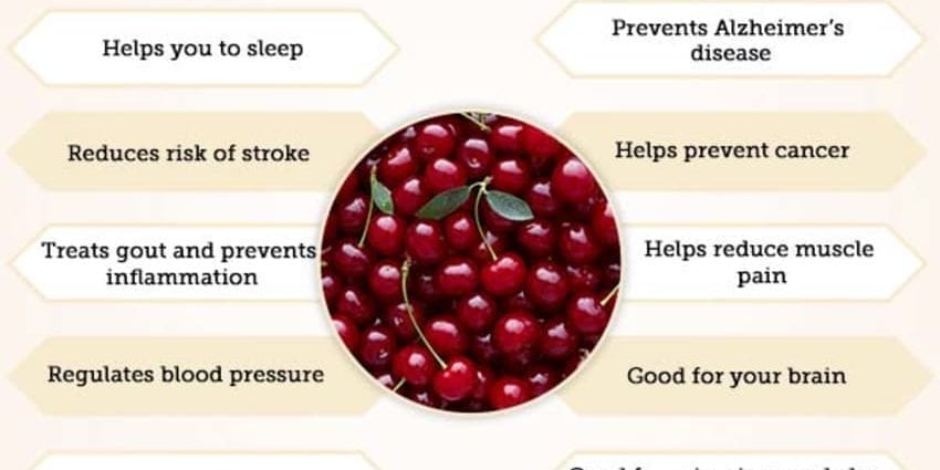 Calorie content Cherry, drupe seed. Chemical composition and nutritional value.