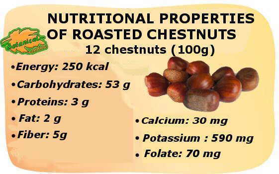 Calorie content Chestnut European, baked. Chemical composition and nutritional value.