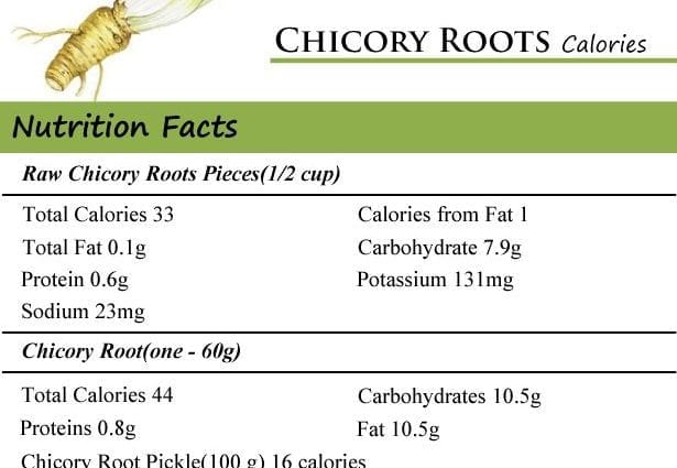 Calorie content Chicory root, raw. Chemical composition and nutritional value.