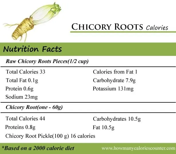 Calorie content Chicory root, raw. Chemical composition and nutritional value.