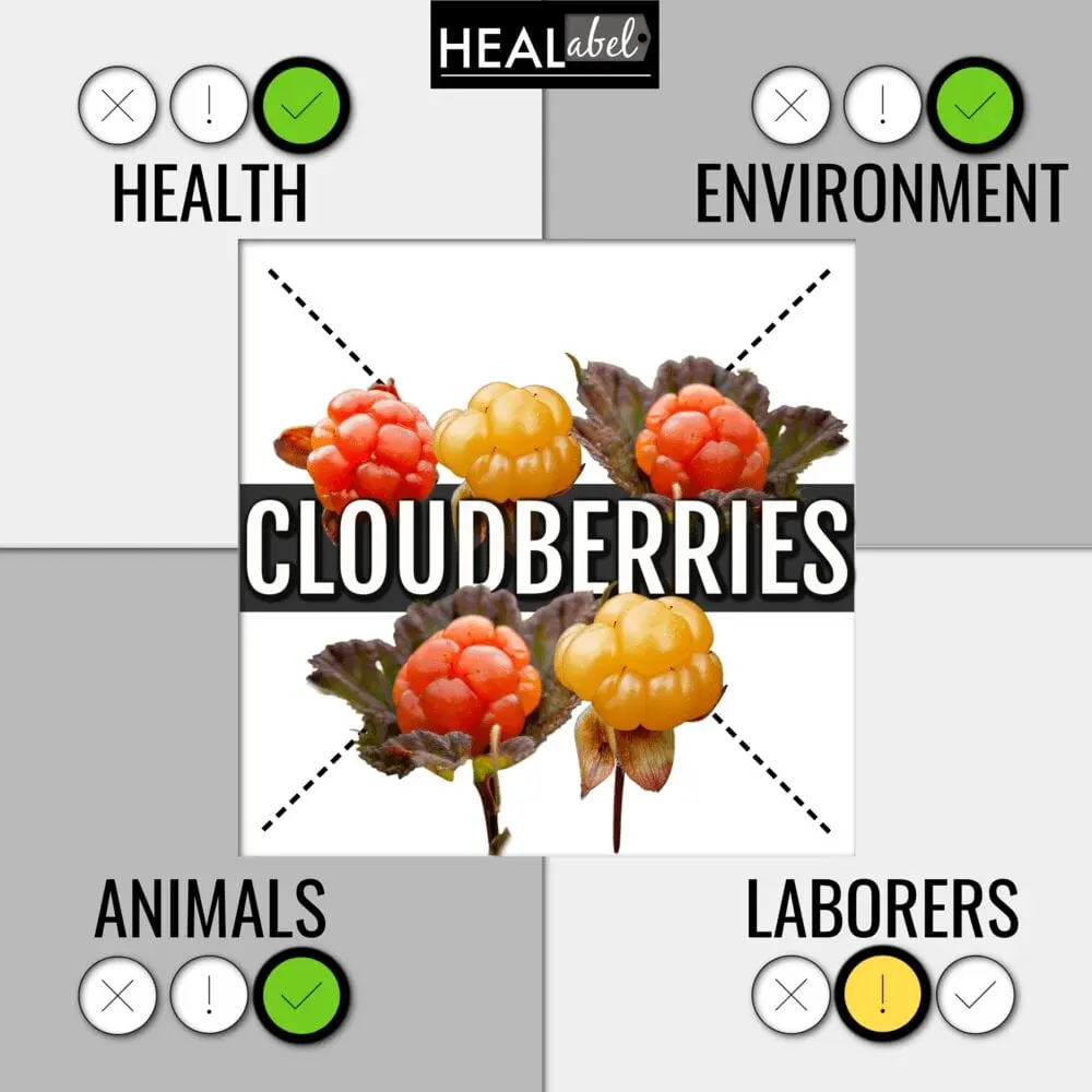 Calorie content Cloudberry (Alaska). Chemical composition and nutritional value.