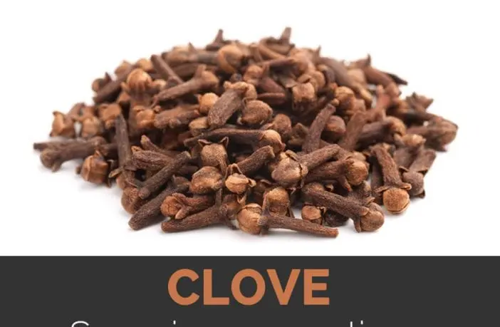 Calorie content Cloves, ground. Chemical composition and nutritional value.