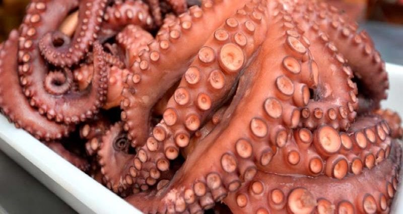 Calorie content Common octopus, raw. Chemical composition and nutritional value.