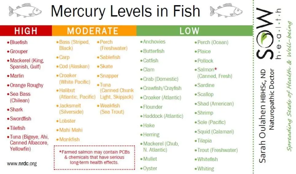 Calorie content Croaker, raw. Chemical composition and nutritional value.