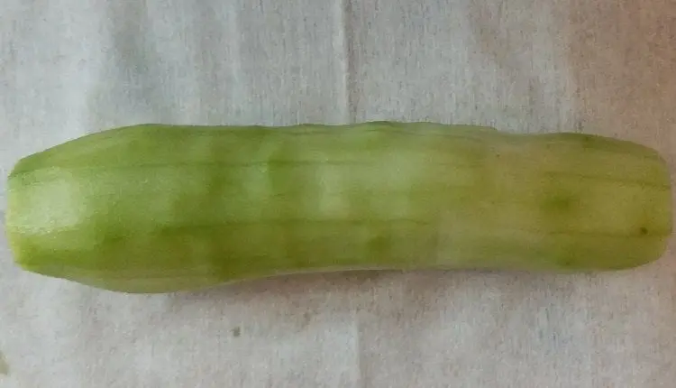 Calorie content Cucumber without peel. Chemical composition and nutritional value.