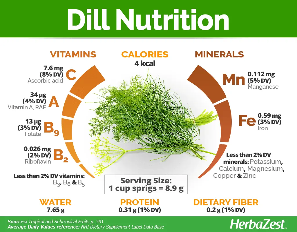 Calorie content Dill, fresh. Chemical composition and nutritional value.