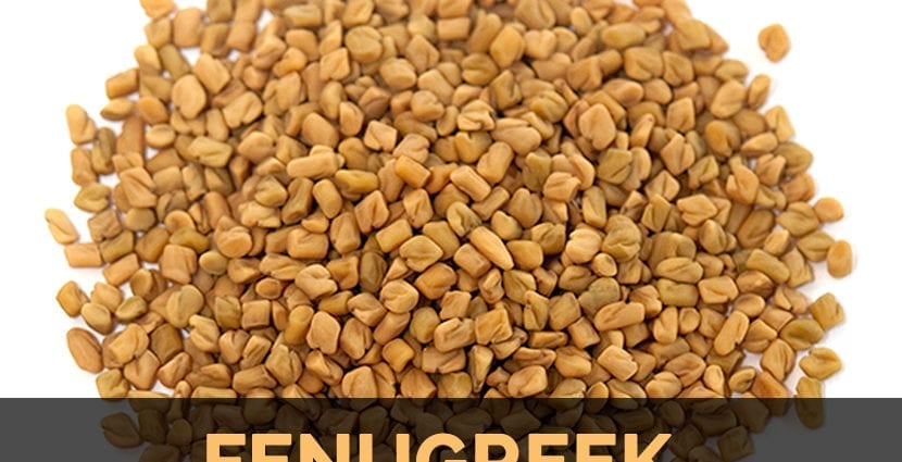 Vsebnost kalorij Fenugreek, semena. Kemična sestava in hranilna vrednost.