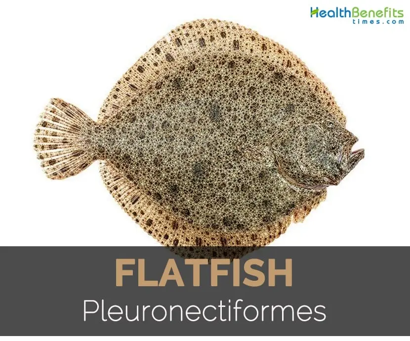 Calorie content Flounder (sea and river), cooked in the heat. Chemical composition and nutritional value.