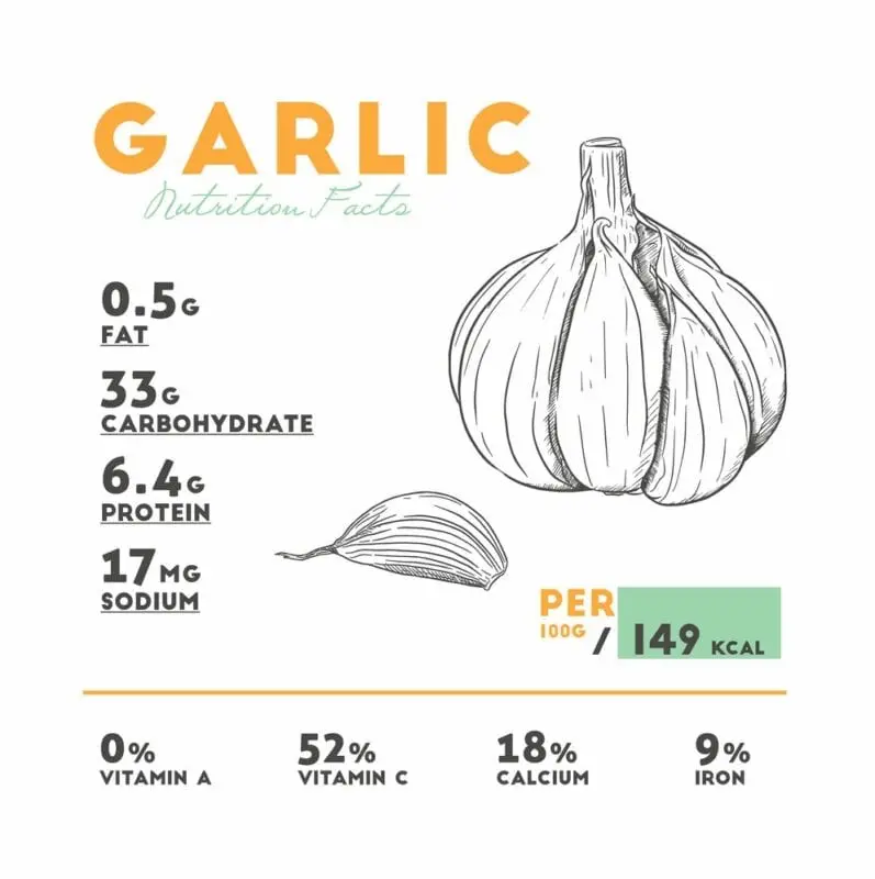 Calorie content Garlic, raw. Chemical composition and nutritional value.