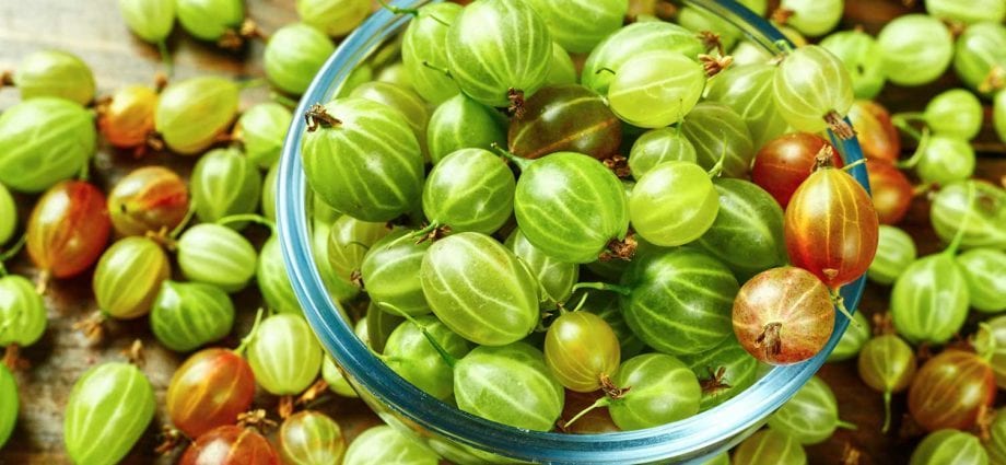 Calorie content Gooseberry. Chemical composition and nutritional value.