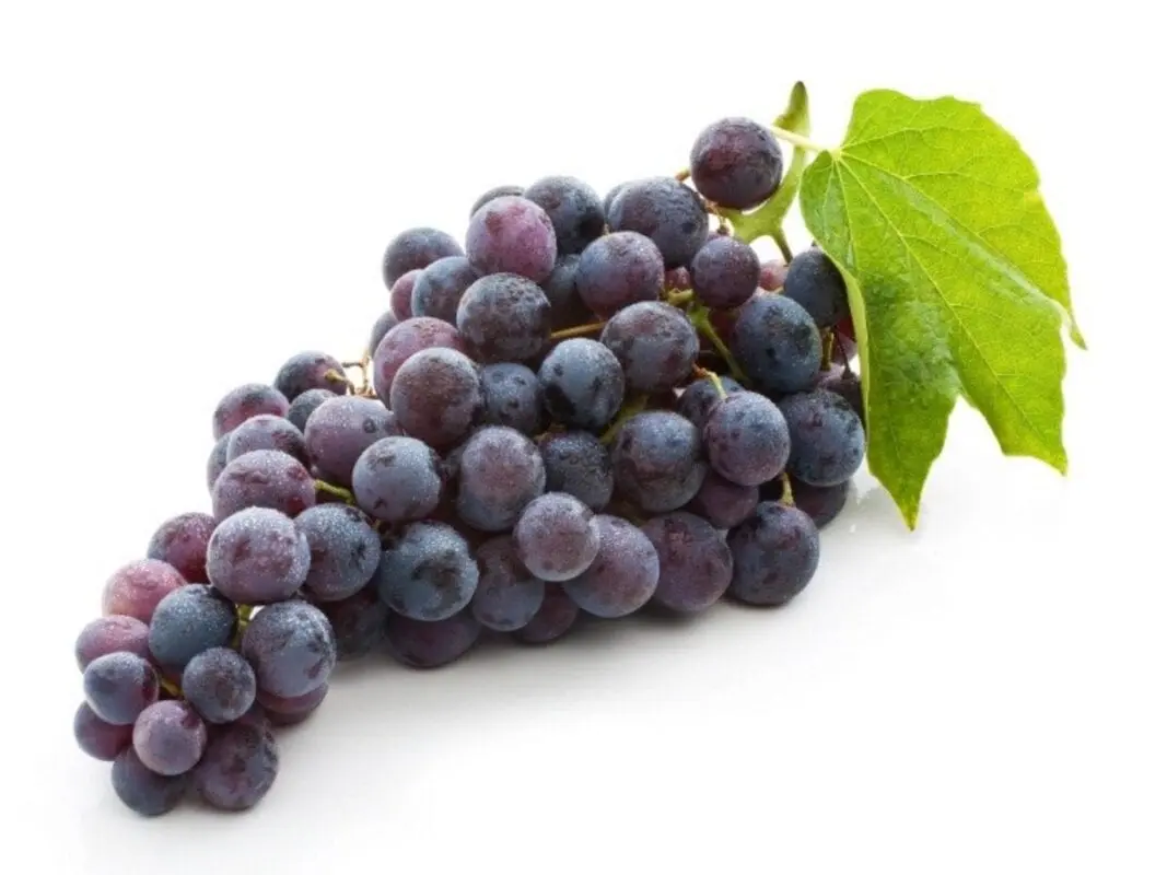 Calorie content Grapes, nutmeg. Chemical composition and nutritional value.