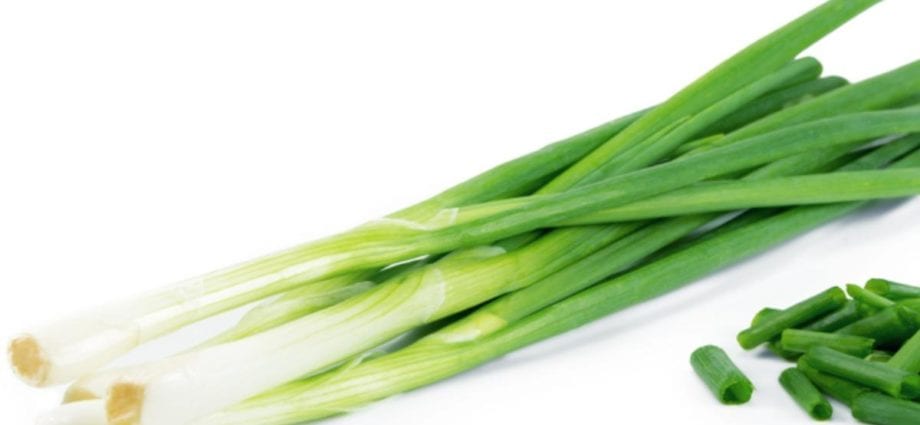 Calorie content Green onions, greens (feathers) of onions. Chemical composition and nutritional value.