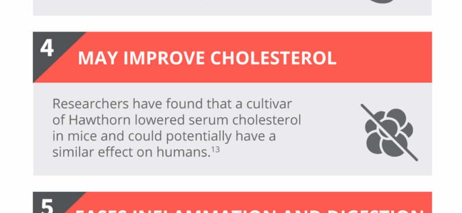 Kaloriengehalt Weißdorn ist blutrot. Chemische Zusammensetzung und Nährwert.