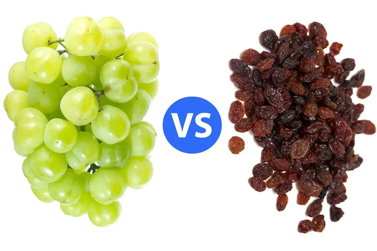 Calorie content Kish-mish grapes canned in water. Chemical composition and nutritional value.