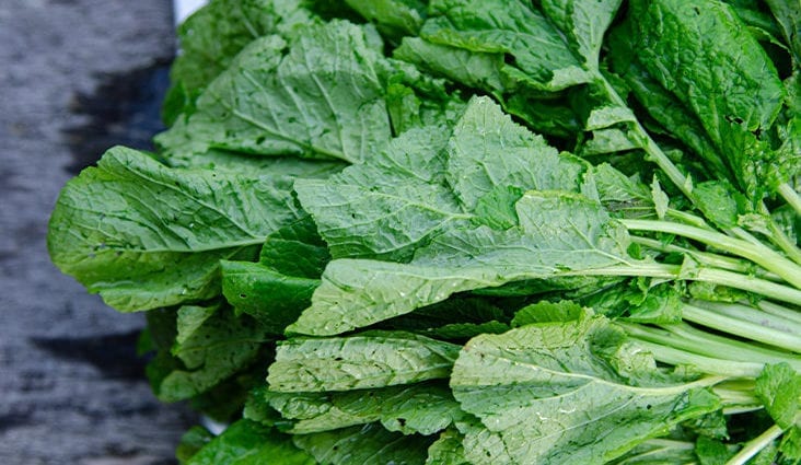 Calorie content Leaf mustard, boiled, without salt. Chemical composition and nutritional value.