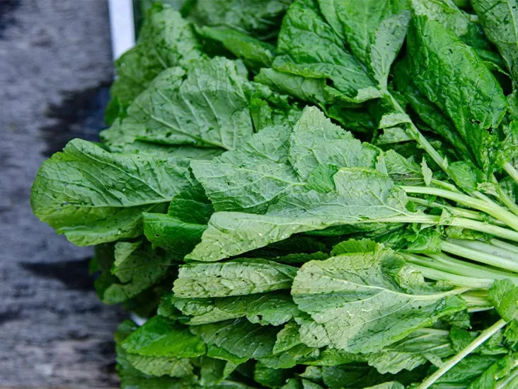Calorie content Spinach mustard, raw. Chemical composition and nutritional value.