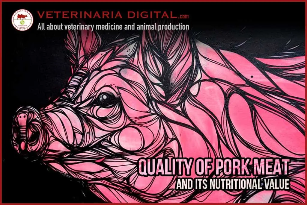 Calorie content Light pork. Chemical composition and nutritional value.