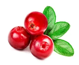 Calorie content Lingonberry. Chemical composition and nutritional value.