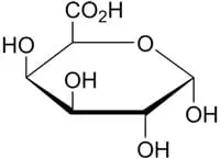 Calorie content Liquid pectin. Chemical composition and nutritional value.