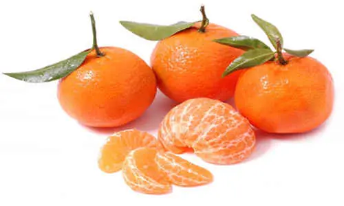 Calorie content Mandarin. Chemical composition and nutritional value.