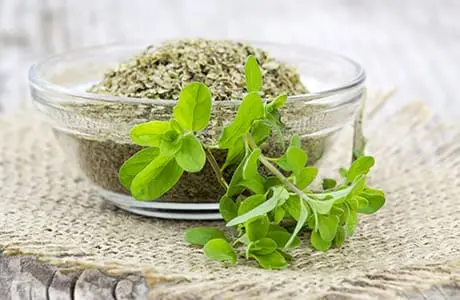 Calorie content Marjoram, dried. Chemical composition and nutritional value.