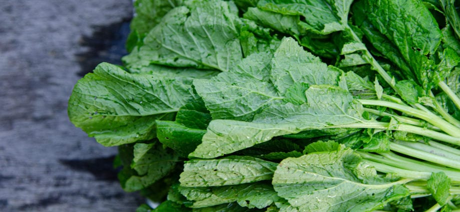 Calorie content Mustard leaf, raw. Chemical composition and nutritional value.