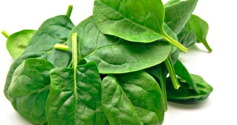 Calorie content New Zealand spinach, boiled, no salt. Chemical composition and nutritional value.