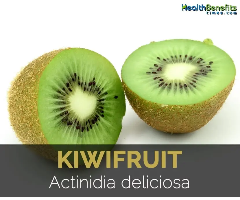 Calorie content of Actinidia (Far Eastern kiwi). Chemical composition and nutritional value.