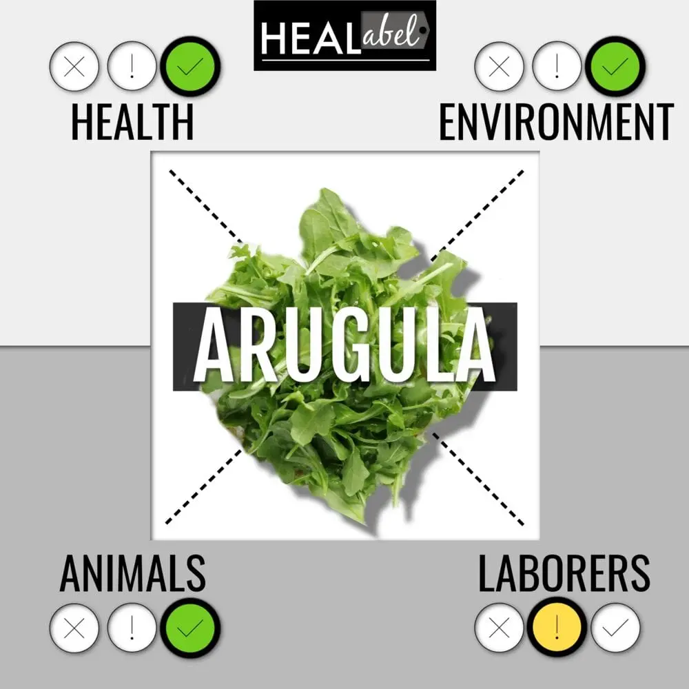 Calorie content of Arugula. Chemical composition and nutritional value.