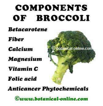 Calorie content of Broccoli. Chemical composition and nutritional value.