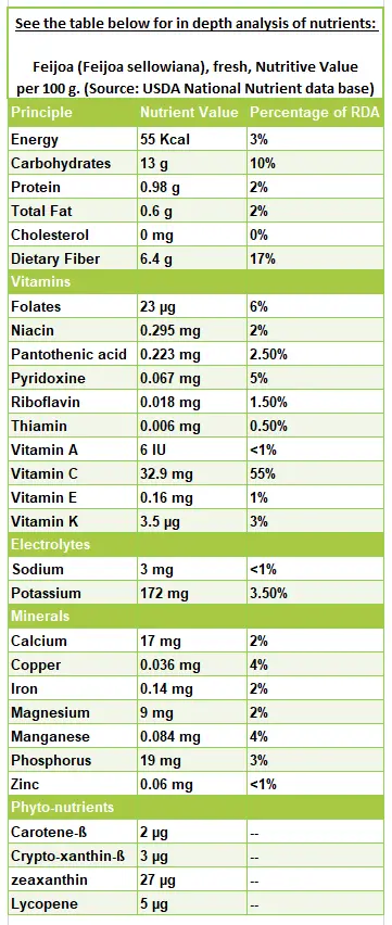 Calorie content of Feijoa. Chemical composition and nutritional value.