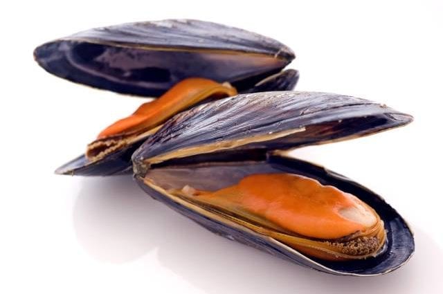 Calorie content of Mussels. Chemical composition and nutritional value.