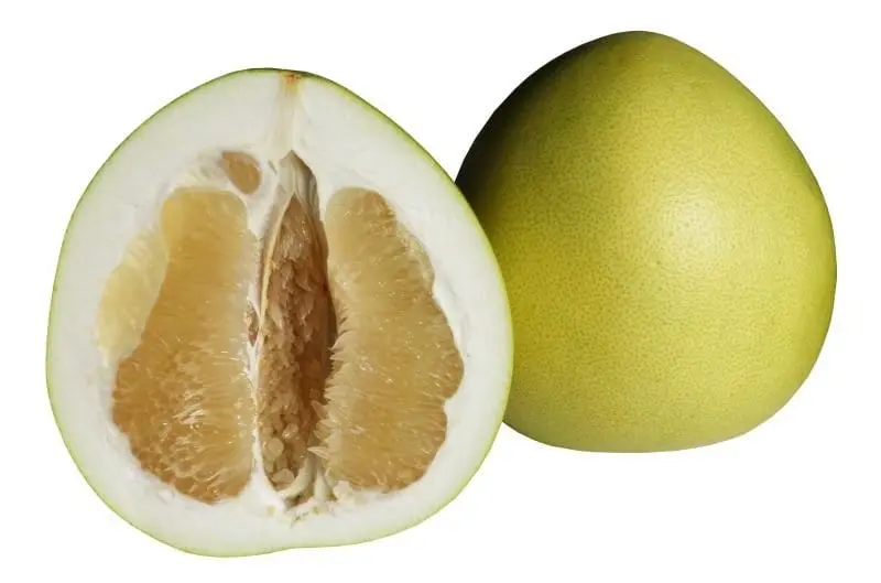Calorie content of Pomelo. Chemical composition and nutritional value.