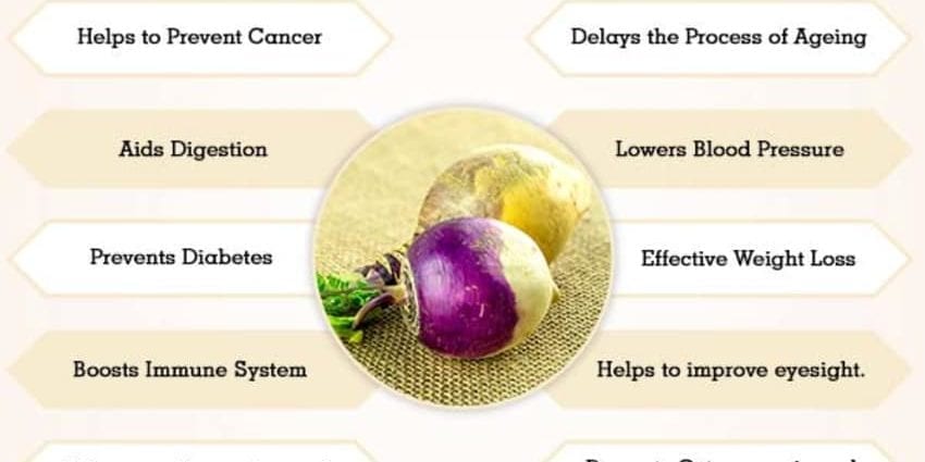 Calorie content of Rutabaga stewed at 1-214. Chemical composition and nutritional value.