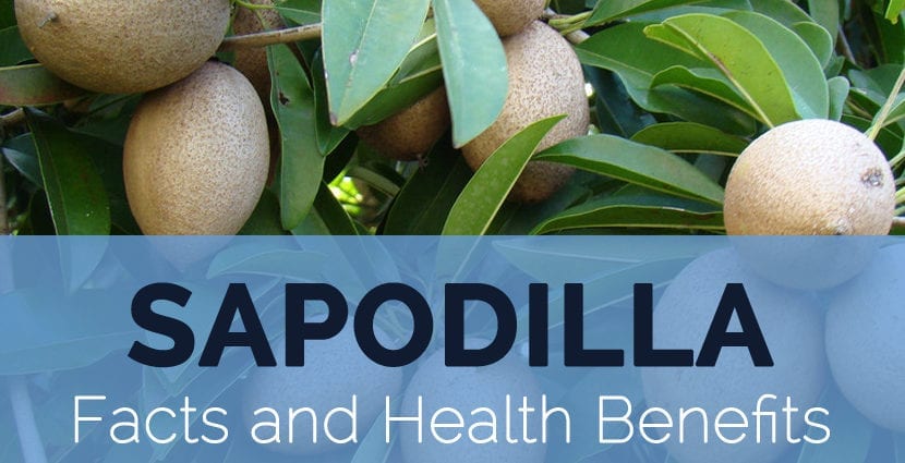 Calorie content of Sapodilla, raw. Chemical composition and nutritional value.