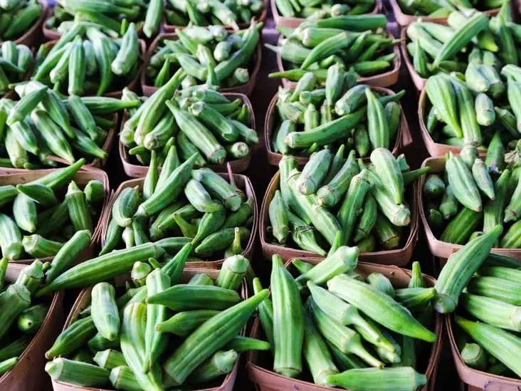 Calorie content Okra, raw. Chemical composition and nutritional value.