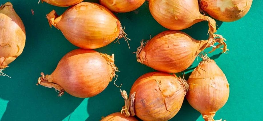 Calorie content Onions are sweet, raw. Chemical composition and nutritional value.