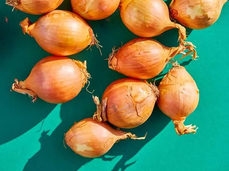 Calorie content Onions, whole frozen, boiled, without salt. Chemical composition and nutritional value.